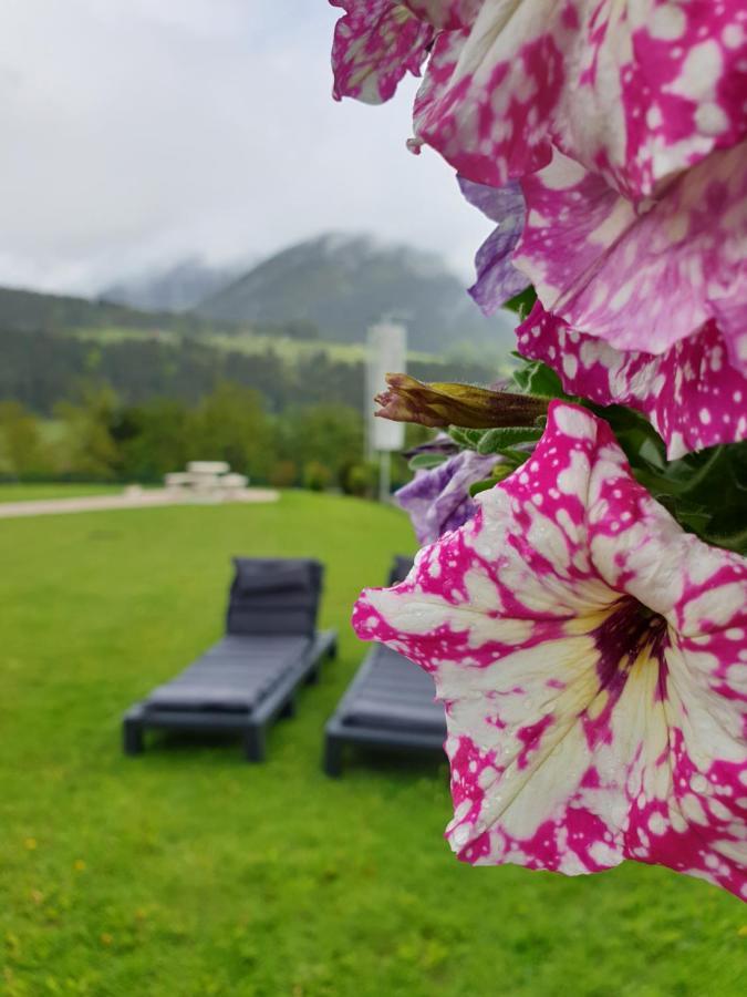 Vive Diem Haus im Ennstal Buitenkant foto